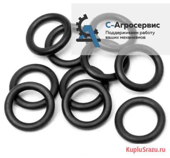 Купить уплотнительные кольца форсунок Димитровград