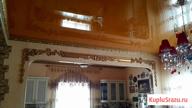 Коттедж 450 м² на участке 13 сот. на продажу в Новосибирске Новосибирск - изображение 1