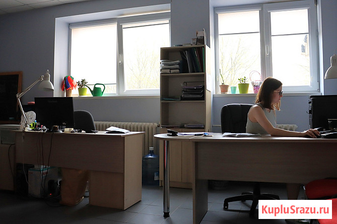 Профессиональные языковые переводы Калининград - изображение 3