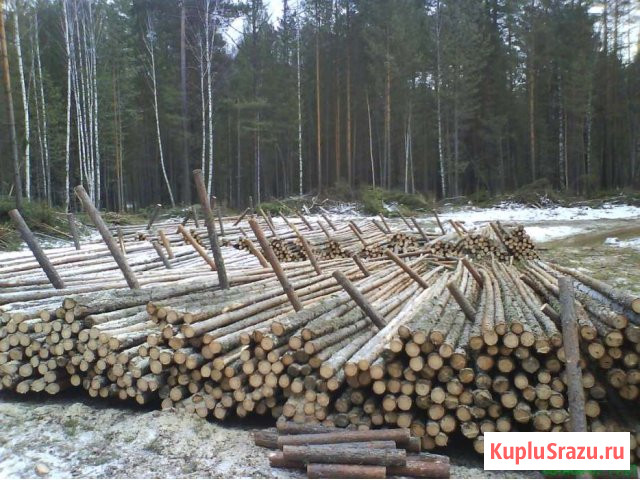 Вагон-стойка-Жерди доставка Иркутск - изображение 2