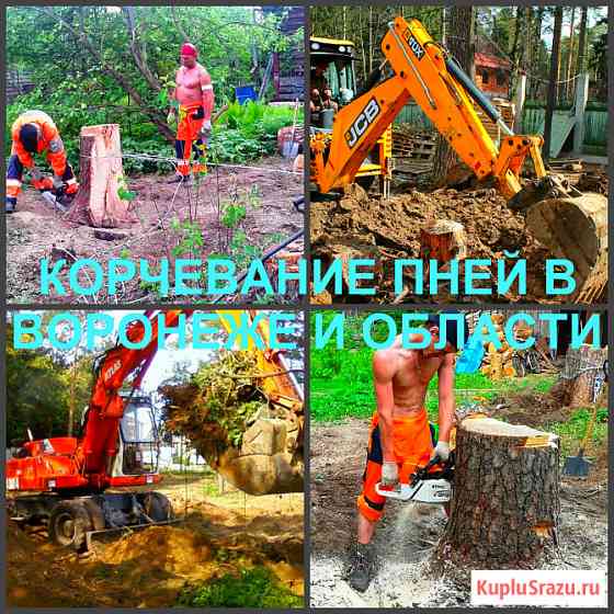 Корчевание Воронеж, корчевание пней в Воронеже Воронеж