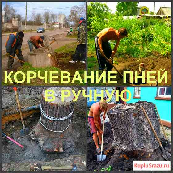 Корчевание Воронеж, корчевание пней в Воронеже Воронеж