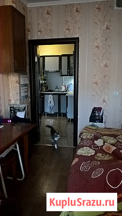  Новороссийск - изображение 6