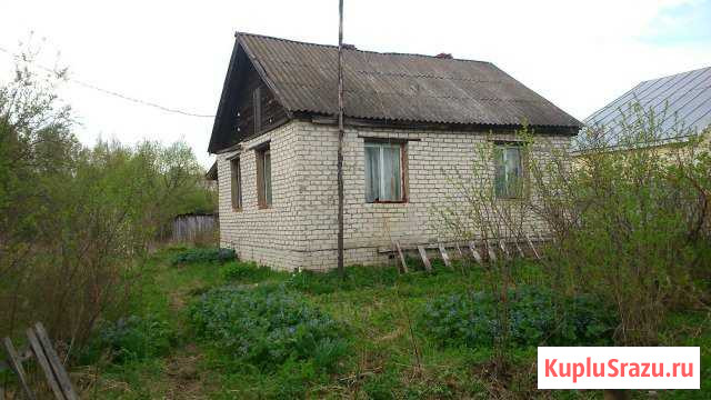  Кольчугино - изображение 1