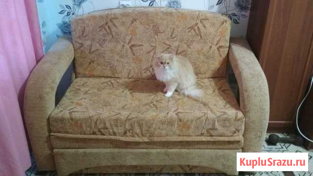 Диван Чайковский - изображение 1