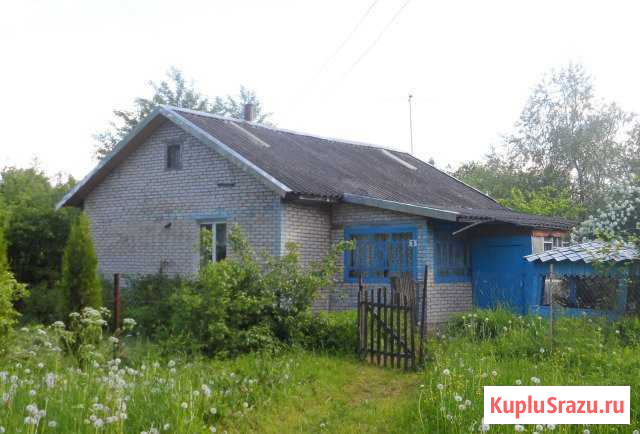 Дом 57 кв.м. на участке 17 сот. Дно - изображение 1
