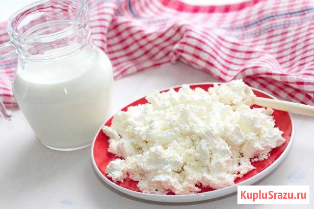Молоко коровье и козье. Творог Тобольск - изображение 1