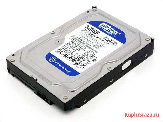 WD 320 Gb Калининград - изображение 1