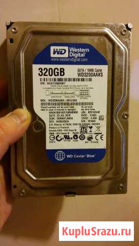 Western D. 320 Gb / SATA 16 Mb cash Калининград - изображение 1