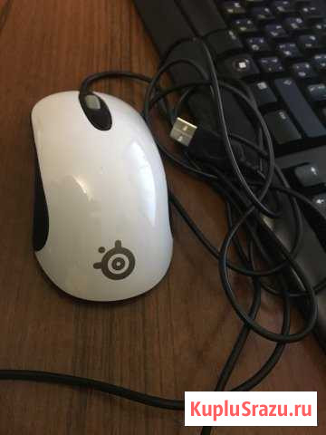 Мышь steelseries Киров - изображение 1