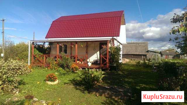 Дача 46 кв.м. на участке 15 сот. Палкино - изображение 1