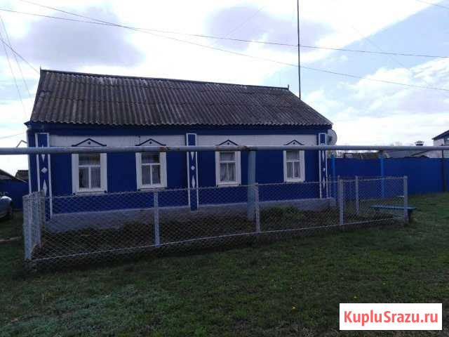 Дом 40 кв.м. на участке 40 сот. Кинель-Черкассы - изображение 1