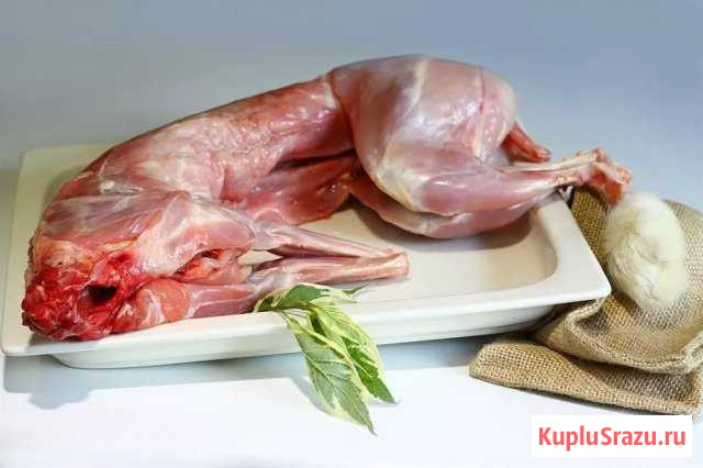 Мясо кролика на заказ Курская - изображение 1
