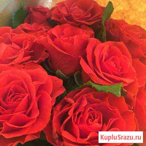Свежесрезанные розы Георгиевск