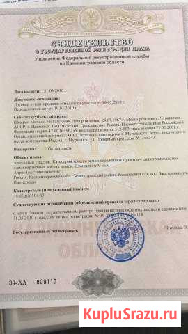  Пионерский - изображение 1