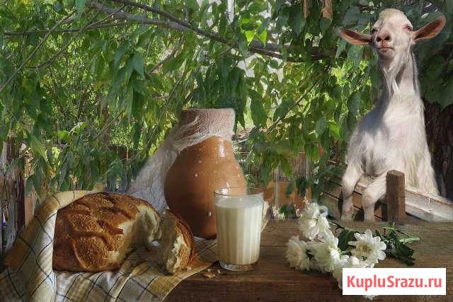 Продукты питания Донское - изображение 1