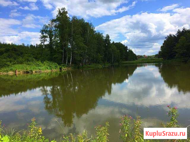  Ясногорск - изображение 1