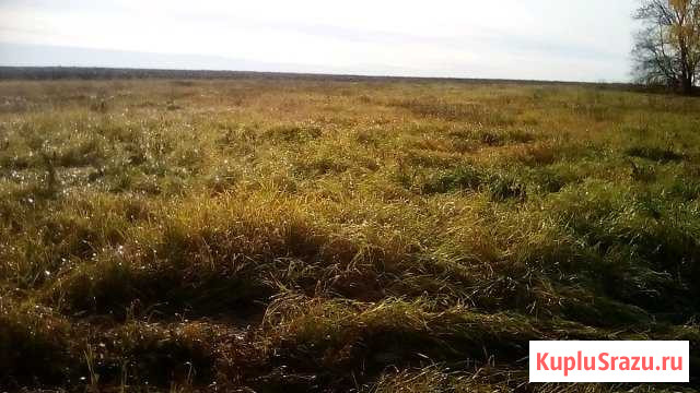  Советский - изображение 1