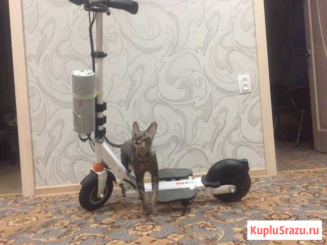 Электросамокат AirWheel Z3 Мурманск - изображение 1