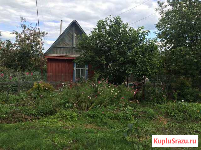 Дача 35 кв.м. на участке 24 сот. Грабово - изображение 1