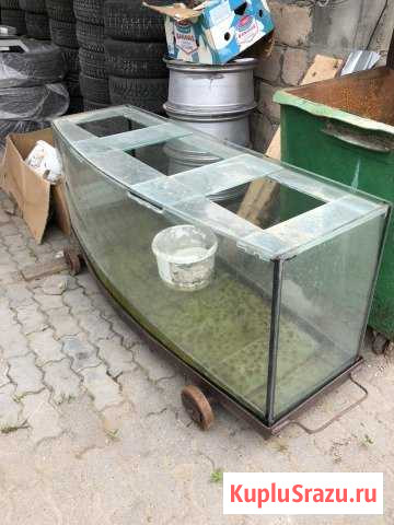 Аквариум Пятигорск - изображение 1