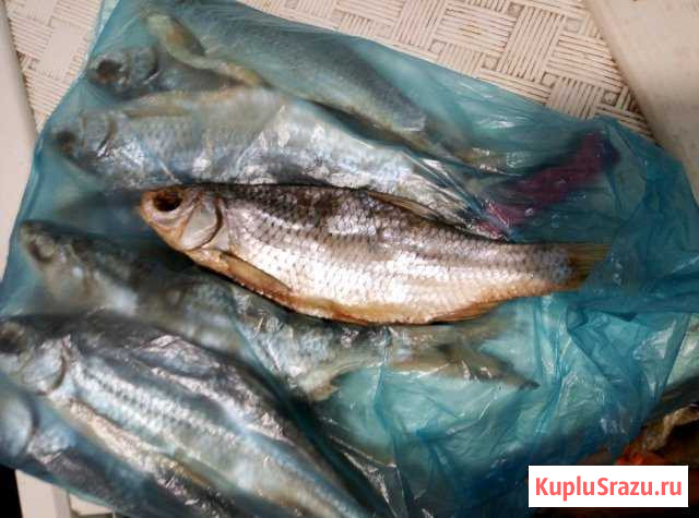 Рыба Кисловодск - изображение 1