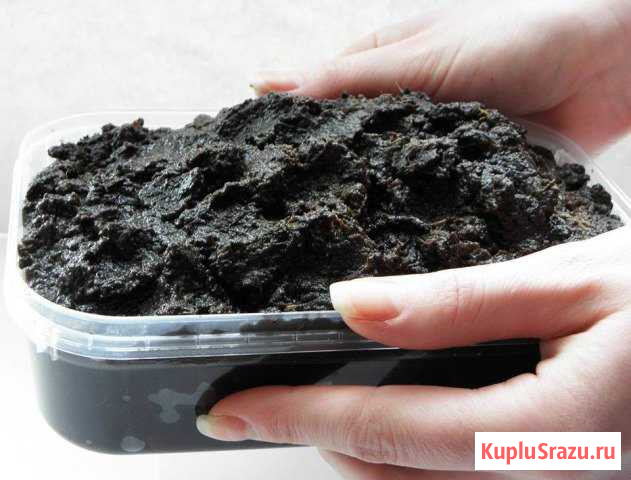 Сапропель Сызрань - изображение 1