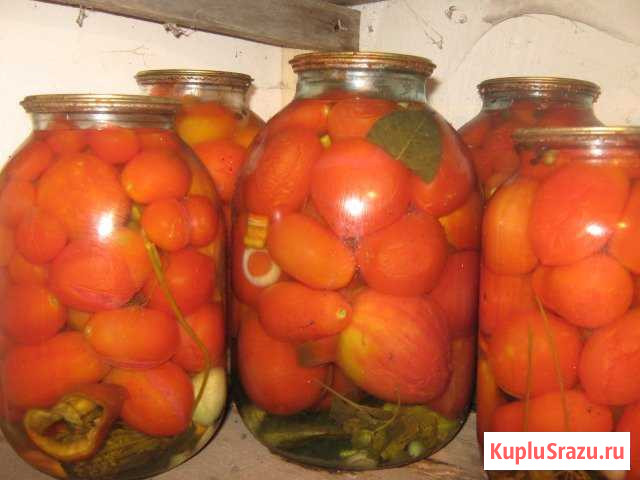 Помидоры, огурцы Мичуринск - изображение 1
