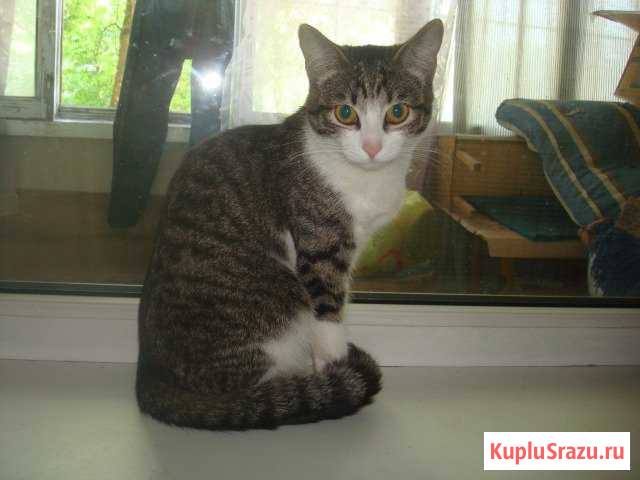 Лизунья Тверь - изображение 1