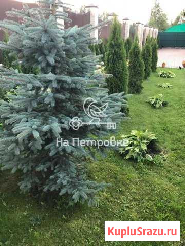  Истра - изображение 1