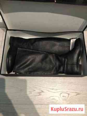 Сапоги massimo dutti Одинцово