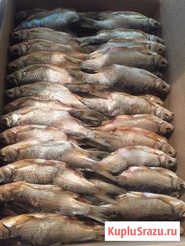 Вобла вяленная Реутов - изображение 1