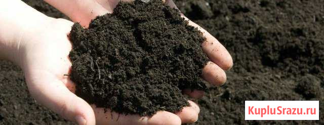 Торф Раменское - изображение 1