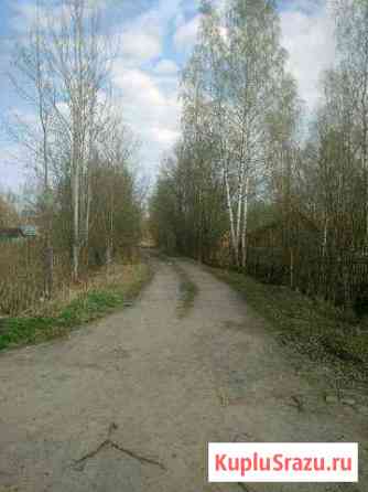  Санкт-Петербург