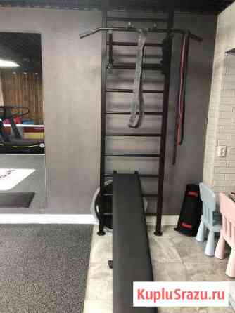 Шведская стенка для спортивного учреждения Мытищи