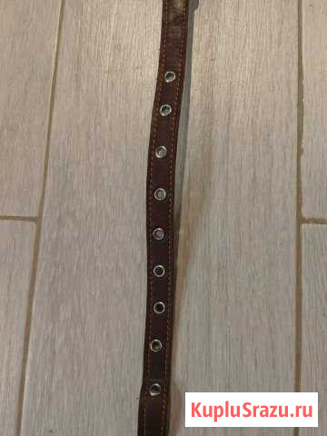 Ошейник Наро-Фоминск - изображение 1