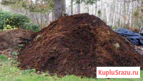 Конский навоз Мосрентген - изображение 1