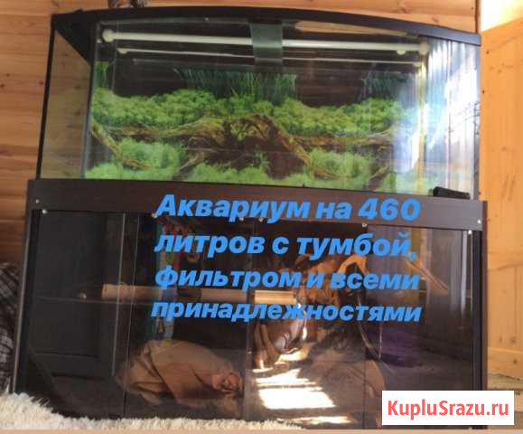 Аквариум Армавир - изображение 1