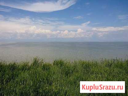  Кагальник - изображение 1