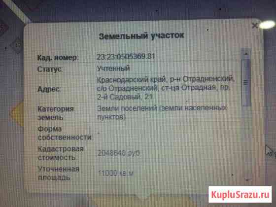  Отрадная