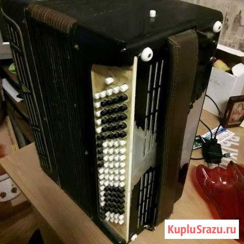 Баян Новочеркасск - изображение 1