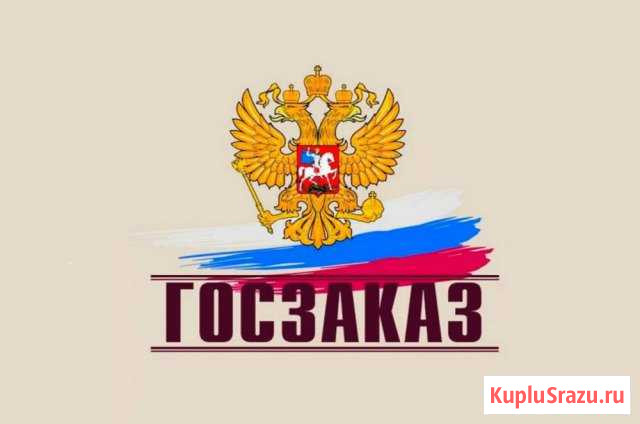 Госзаказ и тендеры: помощь, участие, сопровождение Нижний Новгород - изображение 1