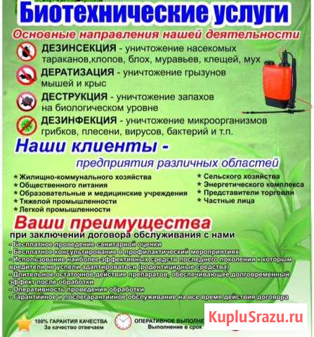Уничтожение насекомых Екатеринбург - изображение 1