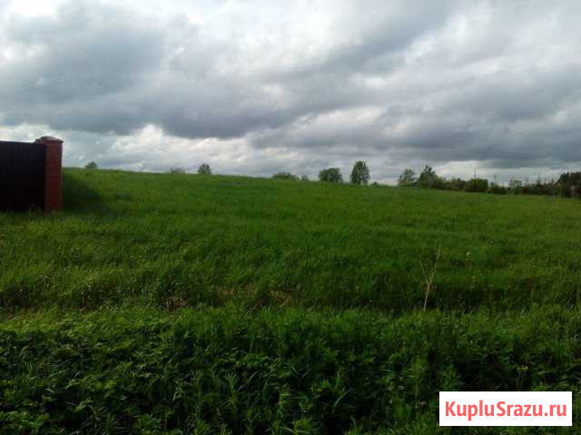  Волосово - изображение 1