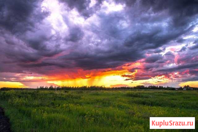  Богородск - изображение 1