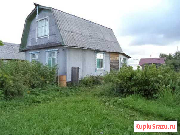 Дача 50 кв.м. на участке 15 сот. Няндома - изображение 1
