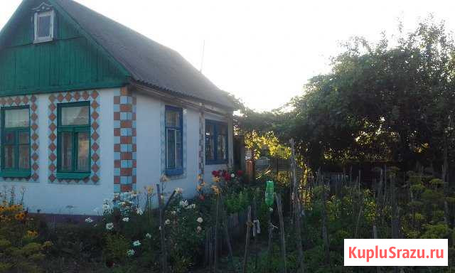 Дача 20 кв.м. на участке 8 сот. Городище - изображение 1