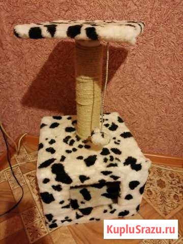 Дом для кошки или кота Старый Оскол - изображение 1
