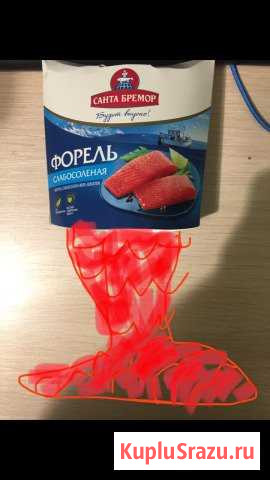 Рыбка живая Белгород - изображение 1