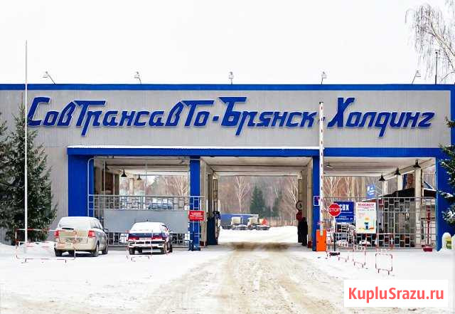 Декларант Таможенный. Представитель Брянск - изображение 1